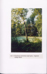 EP - Ewidencja parkowa, skan nr 53