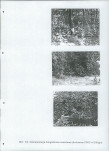 EP - Ewidencja parkowa, skan nr 59