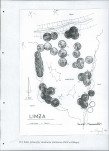 EP - Ewidencja parkowa, skan nr 60