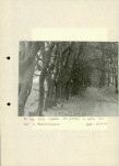 Ewidencja parkowa, skan nr 10
