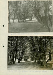 Ewidencja parkowa, skan nr 14
