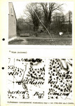 EP - Ewidencja parkowa, skan nr 43
