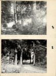 Ewidencja parkowa, skan nr 15
