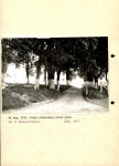 Ewidencja parkowa, skan nr 10