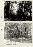Ewidencja parkowa, skan nr 36