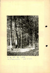 Ewidencja parkowa, skan nr 14
