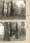 Ewidencja parkowa, skan nr 14