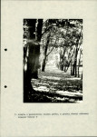 Ewidencja parkowa, skan nr 38