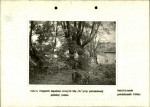 Ewidencja parkowa, skan nr 16