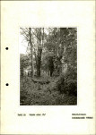 Ewidencja parkowa, skan nr 17