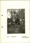 Ewidencja parkowa, skan nr 19