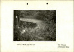 Ewidencja parkowa, skan nr 20
