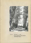 Ewidencja parkowa, skan nr 21