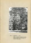 Ewidencja parkowa, skan nr 22