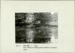 Ewidencja parkowa, skan nr 15