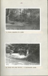 Ewidencja parkowa, skan nr 26