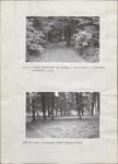 Ewidencja parkowa, skan nr 28