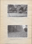 EP - Ewidencja parkowa, skan nr 34