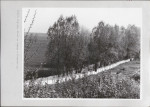 Ewidencja parkowa, skan nr 25
