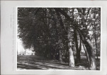 Ewidencja parkowa, skan nr 54