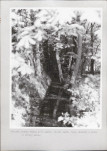 Ewidencja parkowa, skan nr 56