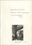 Ewidencja parkowa, skan nr 23