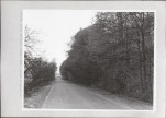 Ewidencja parkowa, skan nr 59