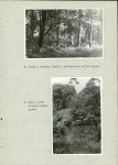 Ewidencja parkowa, skan nr 40