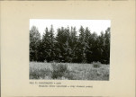 Ewidencja parkowa, skan nr 22
