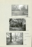 Ewidencja parkowa, skan nr 36