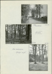 Ewidencja parkowa, skan nr 42