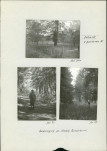 Ewidencja parkowa, skan nr 43