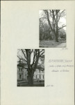 Ewidencja parkowa, skan nr 44