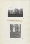 Ewidencja parkowa, skan nr 34