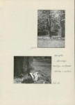 Ewidencja parkowa, skan nr 49