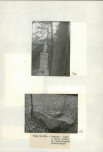 Ewidencja parkowa, skan nr 34