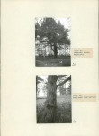 Ewidencja parkowa, skan nr 46