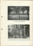 Ewidencja parkowa, skan nr 34