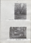 Ewidencja parkowa, skan nr 31