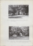 Ewidencja parkowa, skan nr 22