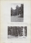 Ewidencja parkowa, skan nr 23