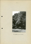 EP - Ewidencja parkowa, skan nr 22