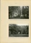 Ewidencja parkowa, skan nr 36