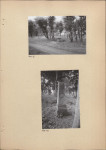 Ewidencja parkowa, skan nr 33