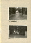 Ewidencja parkowa, skan nr 35