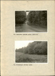 Ewidencja parkowa, skan nr 49