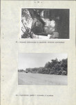 EP - Ewidencja parkowa, skan nr 62