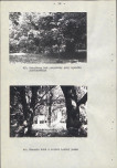 EP - Ewidencja parkowa, skan nr 65