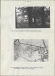 EP - Ewidencja parkowa, skan nr 70