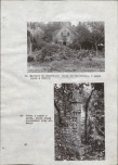 Ewidencja parkowa, skan nr 41